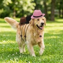 Mini Size Dog Cowboy Hat Soft Texture Pet Headwear Cute Look Pet Cowboy Hat  Photo Prop ruda