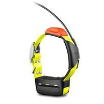 Garmin T 5X Dog device