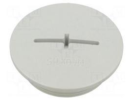Stopper | -20÷80°C | M40x1,5 | Enclos.mat: ABS | grey