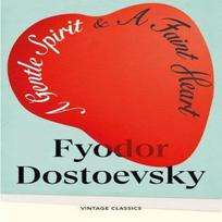 A Gentle Spirit amp A Faint Heart by Fyodor Dostoevsky Paperback Book 9781529981483