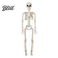 Gyvo dydžio žmogaus skeletas Helovino dekoracijai 3 pėdų visas kūnas Kaulas Realistiškas Judinamas Imitacinis Kaulų Raktas Scenos Įrengimas su Judinamu 1pc white