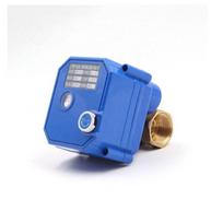 CWX-25S 2 Way Motorized Valve  Brass Ss304 Mini Electric Actuator Water Control Valve 3v 5v 6v 12v 24v 110v 220v DN15 DN20 DN25 (Brass,Medium Pressure&1 1/4 in) žalvaris
