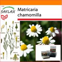 SAFLAX Sodas maiše - Mayweed - 300 sėklų - Su substratu tinkamame stovimame maišelyje - Matricaria chamomilla