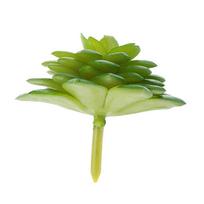 Artificial Succulents Plant Garden Miniature Flower DIY Home Decor Bonsai Accessory