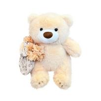 Holding bouquet bear doll plush toy teddy bear hug bear doll couple girlfriend birthday gift 27cm【0.3kg】