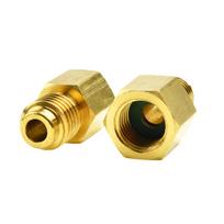 Brass R12 to For R134a Adapter Set 2PCS with 1/4 and 1/2 Male ACME Connections Essential for Vehicle Refrigeration Systems China Mainland