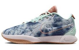 Nike LeBron 21 EP 'Aragonite' HF5466-300 40.5