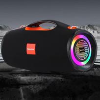 Newman BT100 Outdoor KTV Bluetooth Speaker (CN version)