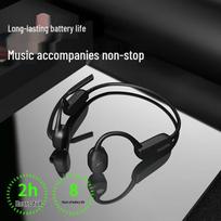 Philips TAN5609 Bone Conduction Sports Headphones