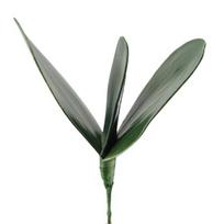 Patrauklūs dirbtiniai orchidėjų lapai Realistiški daugiašakiai PASIDARYK PATS pagalbinė medžiaga M