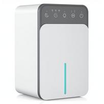 Oro sausintuvas su laikmačiu/budėjimo režimu/automatiniu atitirpinimu/balta LED lempute white