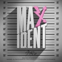 Stray Kids - MAXIDENT [Random Delivery Among T-CRUSH ver. / HEART ver.] [General Edition] (Reprint)