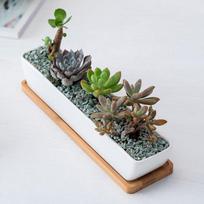 Dropshipping 11,1 colio baltas keramikinis sultinio vazonas su bambukinėmis lėkštutėmis, stačiakampės formos, namams, sodui, biurui (White,11.1 Inch) balta