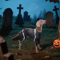 Dog Skeleton Halloween Costume Apparel Clothes Onesie for Festival Carnival S