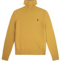 Polo Ralph Lauren Small Pony Logo Embroidered High Neck Knitted Wool Sweater Men sweater 710777848-002 M
