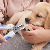 & Dog Nail Clipper, Sharp , With Safety Guard- Avoid Over Cutting Pet Nail Clippers, Pet Nail Trimmers One Size mėlyna