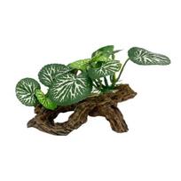Akvariumo papuošimas dirbtiniu augalu Akvariumo ornamentas Akvariumo aksesuaras Vandens dekoras, skirtas Betta Fish mažesniems ropliams žalia