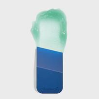 Portable Mini Brush Pieny