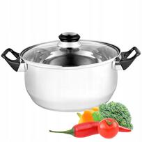 Nerūdijančio plieno puodas su dangčiu 2,9 l, 20 cm