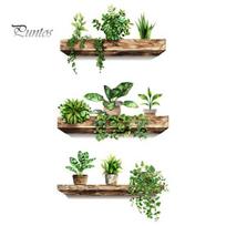 3 vnt. vazoninių augalų lentynos Sienos lipdukas Vandeniui atsparus PVC Lipnus Svetainės Miegamojo Namų Biuro 3D Efektas Žalių Augalų Lentynos Dekoras Lipdukas 3pcs beige