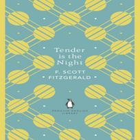 Tender is the Night by F. Scott Fitzgerald Paperback Book 9780241341483