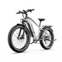 DUOTTS F26 Lite Adult Electric Bicycle 250W Motor 26  Fat All-Terrains Tires 48V18AH Battery Electric Bike