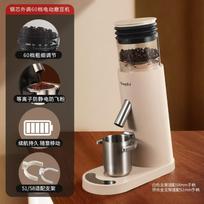 Youluo Electric Coffee Grinder