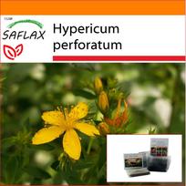 SAFLAX – Sodas maiše – Šv. Jonažolė – 300 sėklų – Su substratu tinkamame stovimame maišelyje – Hypericum perforatum