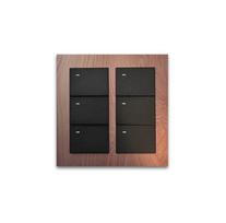 JINK Switch EGG Matter Thread Smart Scene Switch AG Gray 6 Gang Wall Panel for Apple Home bronza
