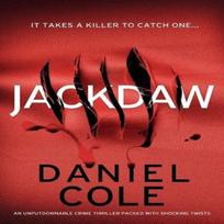 Jackdaw by Daniel Cole Paperback Book 9781805082750