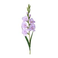 Dirbtinė gladiolų gėlė Realistiška netikra šilkinė gėlė Namų biuro vestuvių vakarėlio vidaus lauko dirbtinės gėlės žydėjimo dekoracija