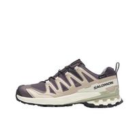 Salomon  XA Pro 3D V9 GORE-TEX Nine Iron Alfalfa Women Sneakers Grey Oxford-Tan L47744700 38⅔ gray
