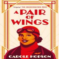 A Pair of Wings by Carole Hopson Paperback Book 9781913175801