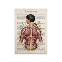 Nugaros raumenų spausdintas plakatas Chiropraktiko dovana Licencijuoto masažuotojo baigimo meno drobės tapyba Biuro sienų dekoras 21X30CMNo Framed white