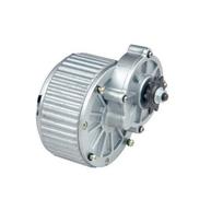Electric Motor 24V 36V 250W 450W reversible Brushed DC Motor Gear Reduction Electric Motor with 9 To... 24V   250W