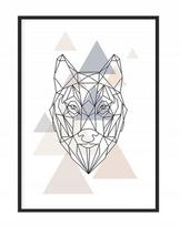Obraz plakat w ramie 43x33 cm wilk p1185