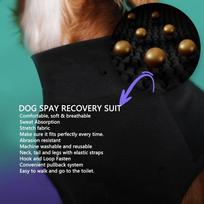 Stretchy Pet Recovery Suit Breathable Anti Lick Outfit Surgery Recovery Wear  Post Surgery Care S