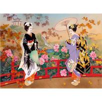 5D „pasidaryk pats“ deimantinis siuvinėjimas kryželiu Deimantinė mozaika Japonijos moters geiša Deimantinė tapyba Namų dekoras 20X30CM