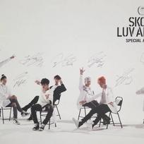 BTS Skool Luv Affair Poster