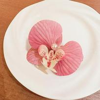 Summer Hawaii Orchid Flowers Hair Clips Bohemia Style Bridal Flowers Hair Clips Women Hairpins Barrettes Hair Accessories Gifts
