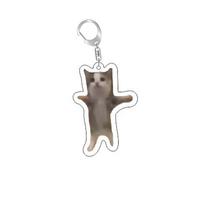 Rambling Goat Huh Cat Meme Keychain Confused Cat Memes Cat Screaming With Paws On Its Head Cute Gift For Friend Woman's Keychain 6 cm