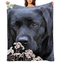 Skirkite laiko - Juodo labradoro pledas Svertiniai pledai ir languotas dekoratyviniam sofos pledui 30x40in