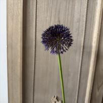 Floral Display Artificial Faux Allium Plants Single Dandelion Branch Flower  Home Decor tamsiai violetine spalva