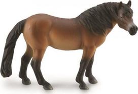 Exmoor ponis eržilas - Collecta