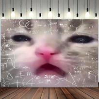 Funny Math Cat Tapestry Geek Style Academic Genius Emoticon Pack Decoration Painting Gift Room Decoration 100X70CM