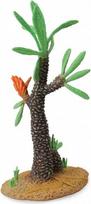 Williamsonia kaktuso medis - Collecta