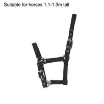 Reguliuojamas Nailoninis Diržas Jojimo Vakarų Arklių Kantaras Arklių Jojimo Apranga Juoda Xs S M L Xl Ergonomiškas Patogus Kantaras S