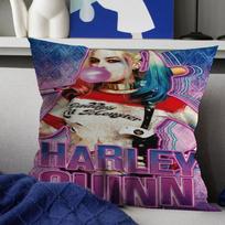 Sexy Girl Q-QuinnS-H-HarleyS Pillow Gifts Home Office Furnishings Bedroom Sofa Car Cushion Cover case 45x45cm 16x16Inch