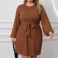 Plus Size Women High Waist Round Neck Puff Sleeve A Line Commute Dress 1XL ruda