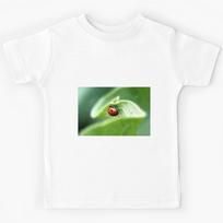 Lone Ladybug Kids T-Shirt 170